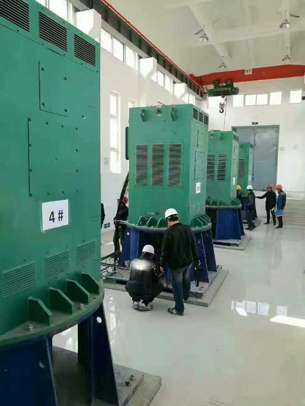 多宝镇某污水处理厂使用我厂的立式高压电机安装现场