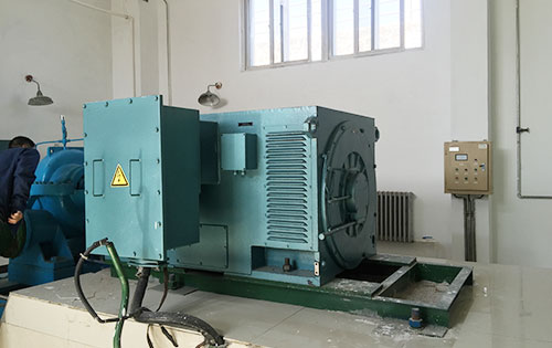 多宝镇某水电站工程主水泵使用我公司高压电机